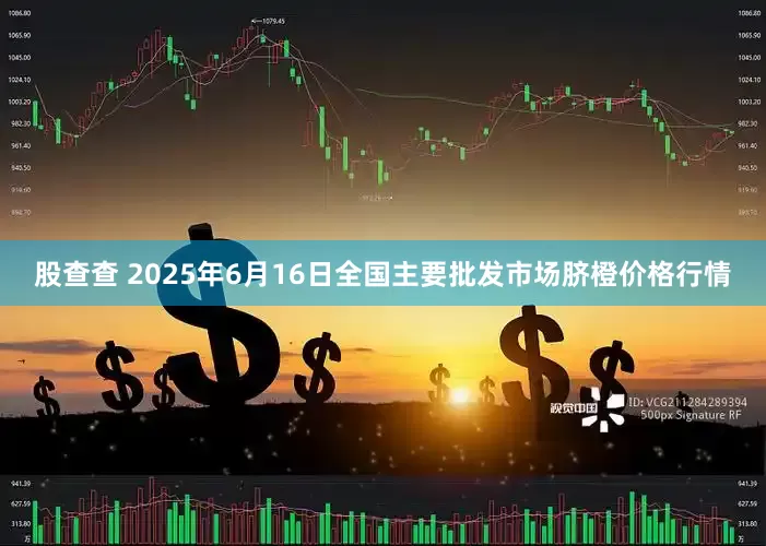股查查 2025年6月16日全国主要批发市场脐橙价格行情