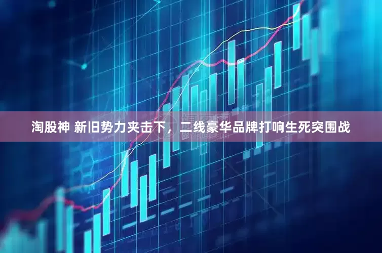 淘股神 新旧势力夹击下，二线豪华品牌打响生死突围战