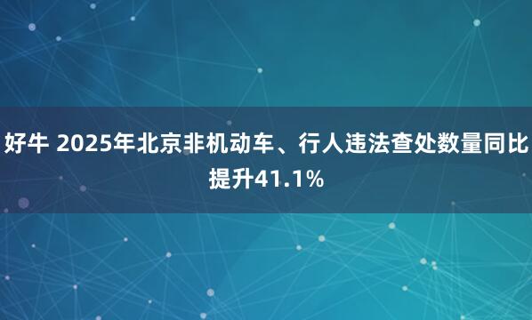 好牛 2025年北京非机动车、行人违法查处数量同比提升41.1%