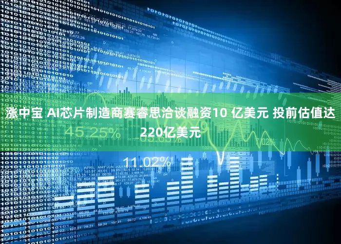 涨中宝 AI芯片制造商赛睿思洽谈融资10 亿美元 投前估值达220亿美元
