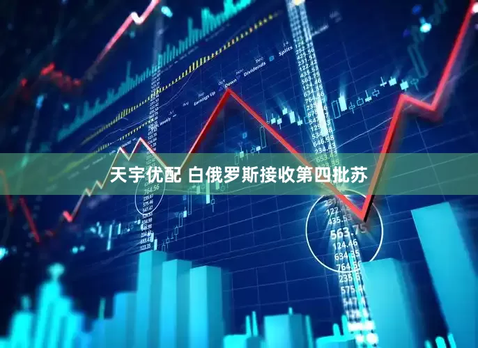 天宇优配 白俄罗斯接收第四批苏